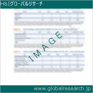 グローバルリサーチ調査レポートのイメージ